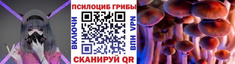ОМГ ОМГ ONION Кедровый Галлюциногенные грибы Magic Shrooms