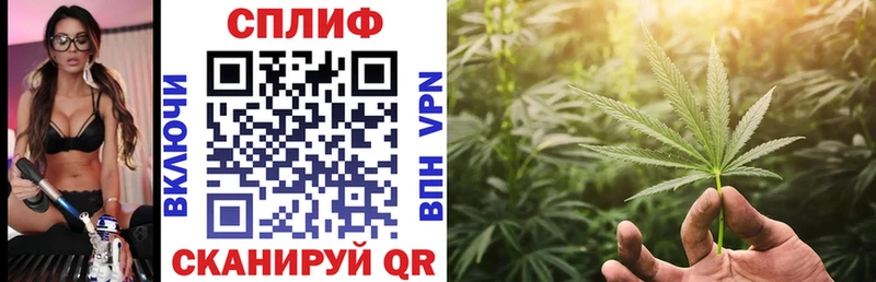 Конопля SATIVA & INDICA  Кедровый 